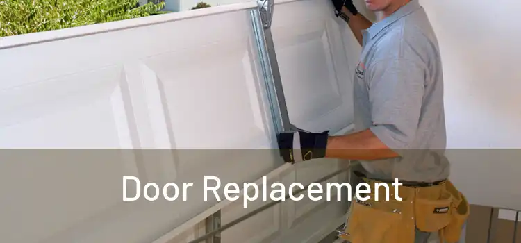  Door Replacement 