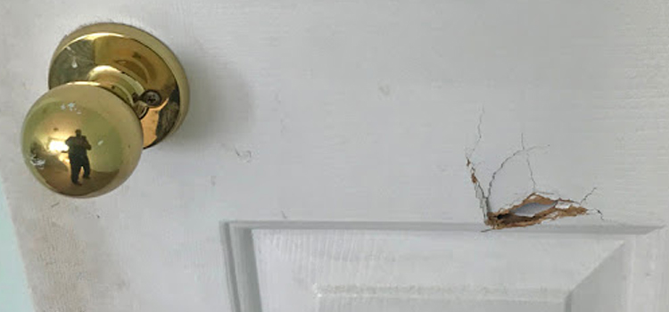 interior door hole repair Holtville